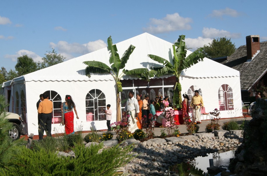 15960058812907710426.jpg 1 (72).jpg